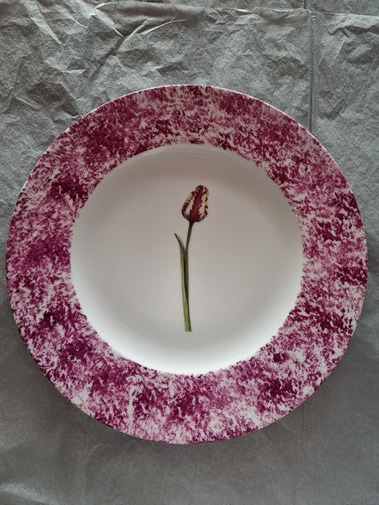 DESTOCKAGE LOT 6 ASSIETTES PRESENTATION