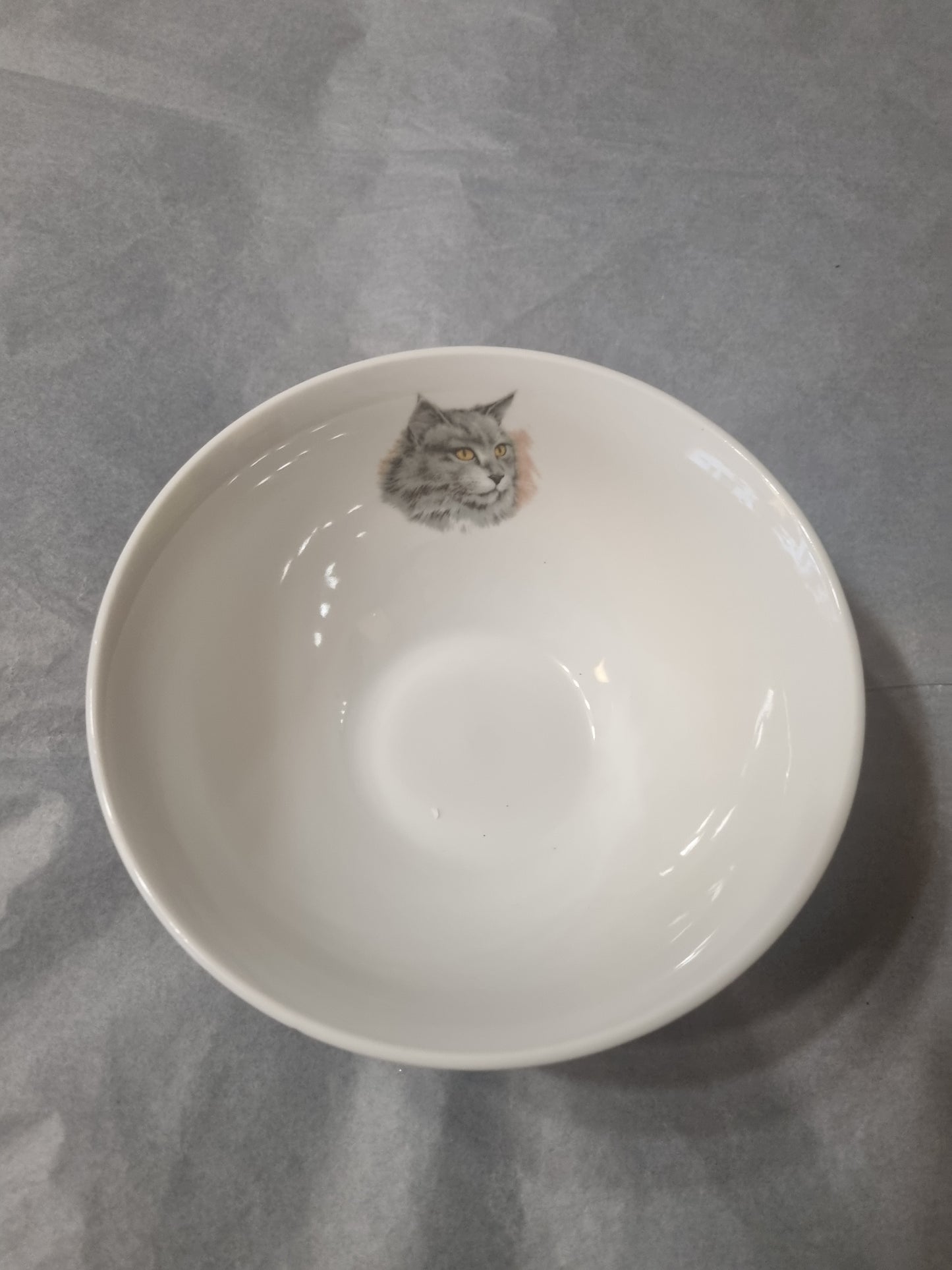 Bol en Porcelaine Décor Chat