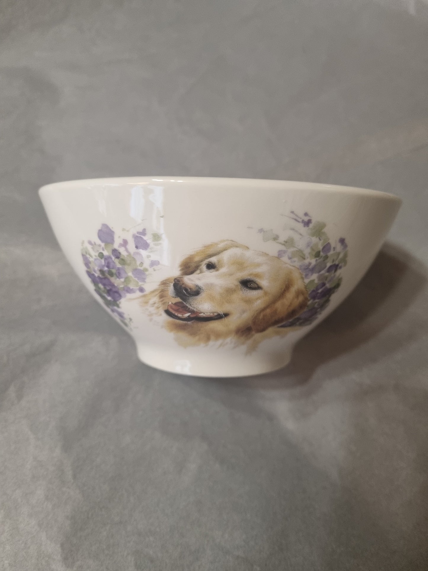 Bol en Porcelaine Décor chien