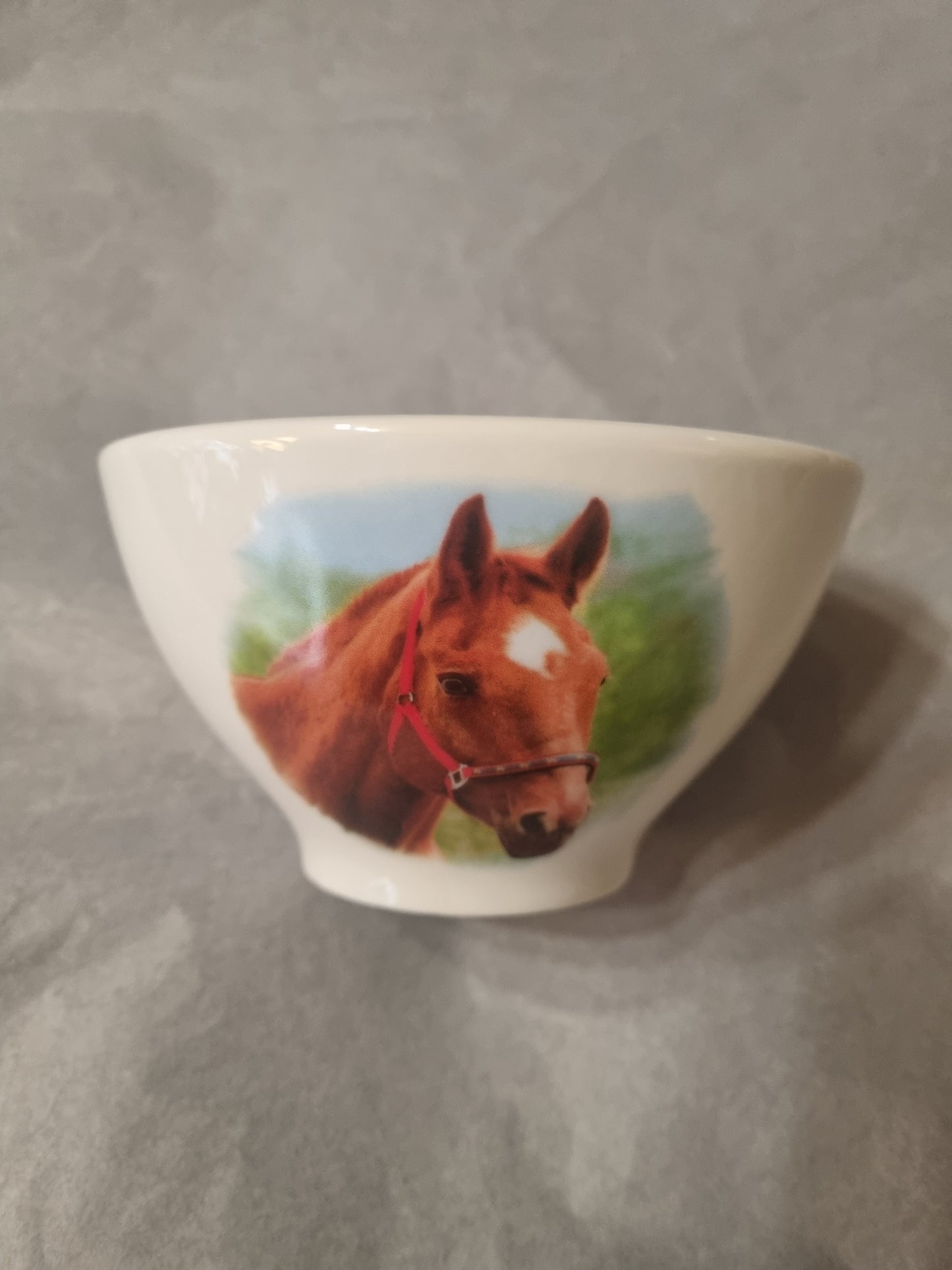 Bol en Porcelaine Décor Cheval