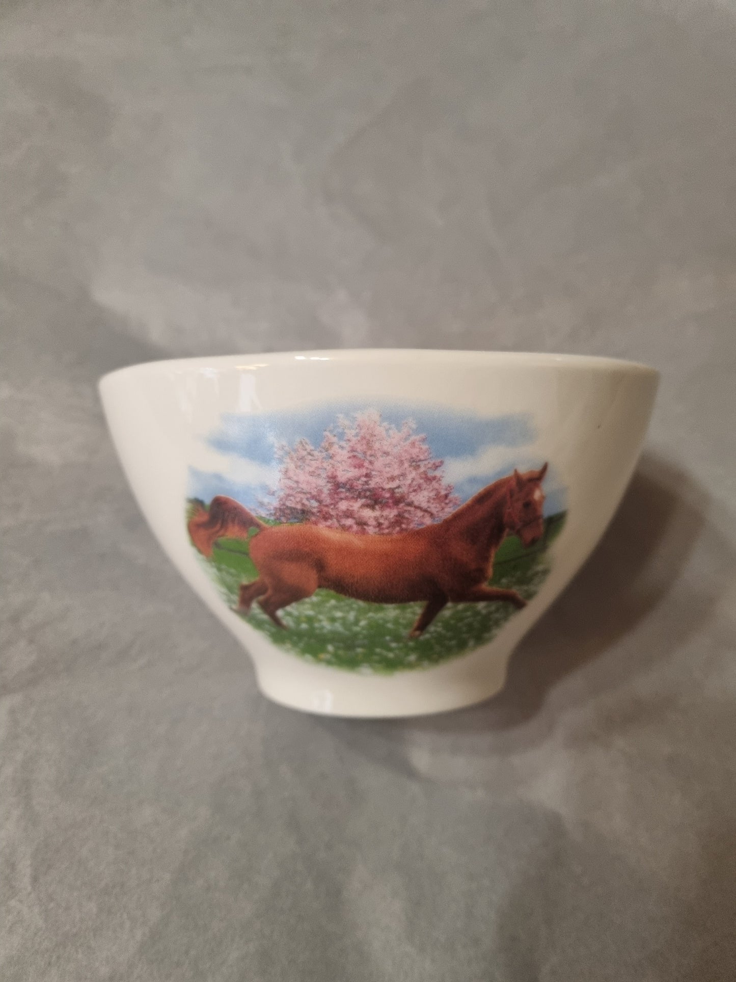 Bol en Porcelaine Décor Cheval