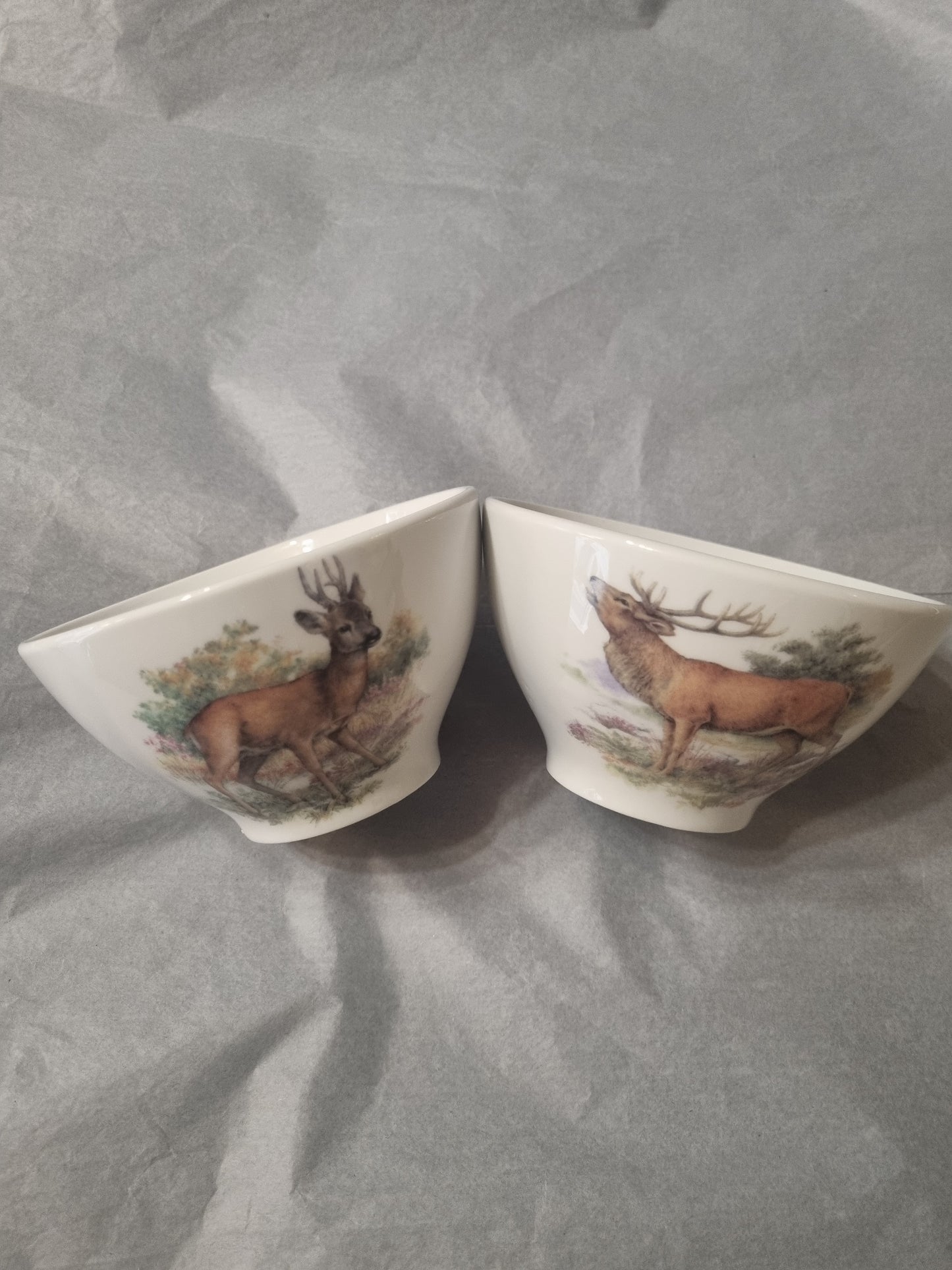 Coffret duo de 2 Bols en Porcelaine