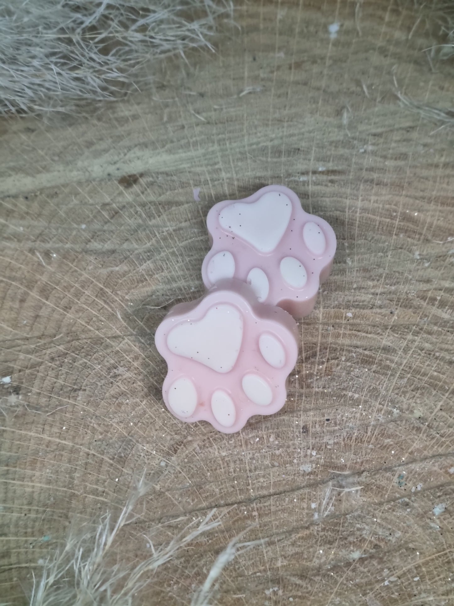 FONDANT PATTE ANIMAUX LES 2