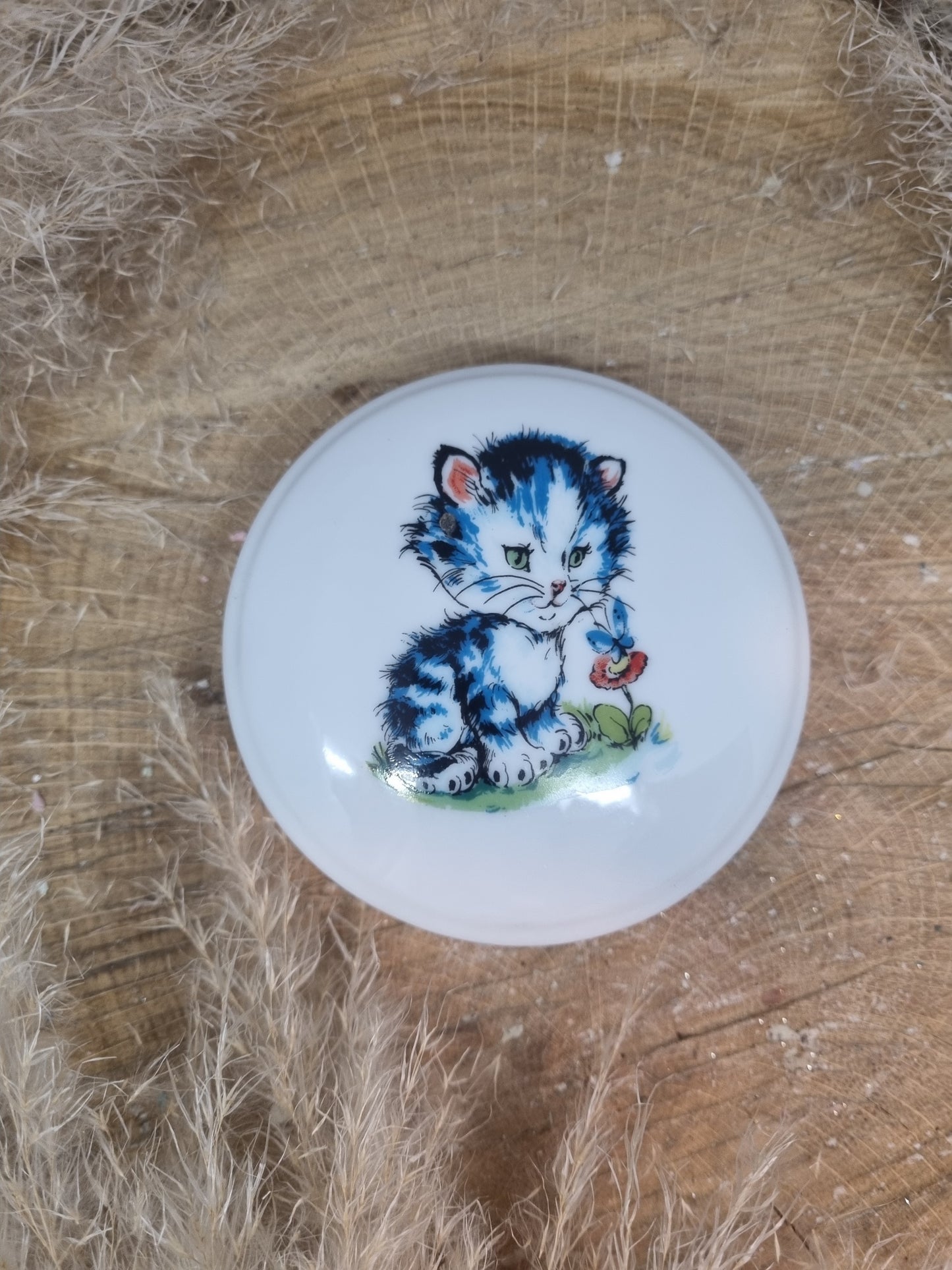 Bonbonnière Fille ou Garçon Décor Chat Bleu