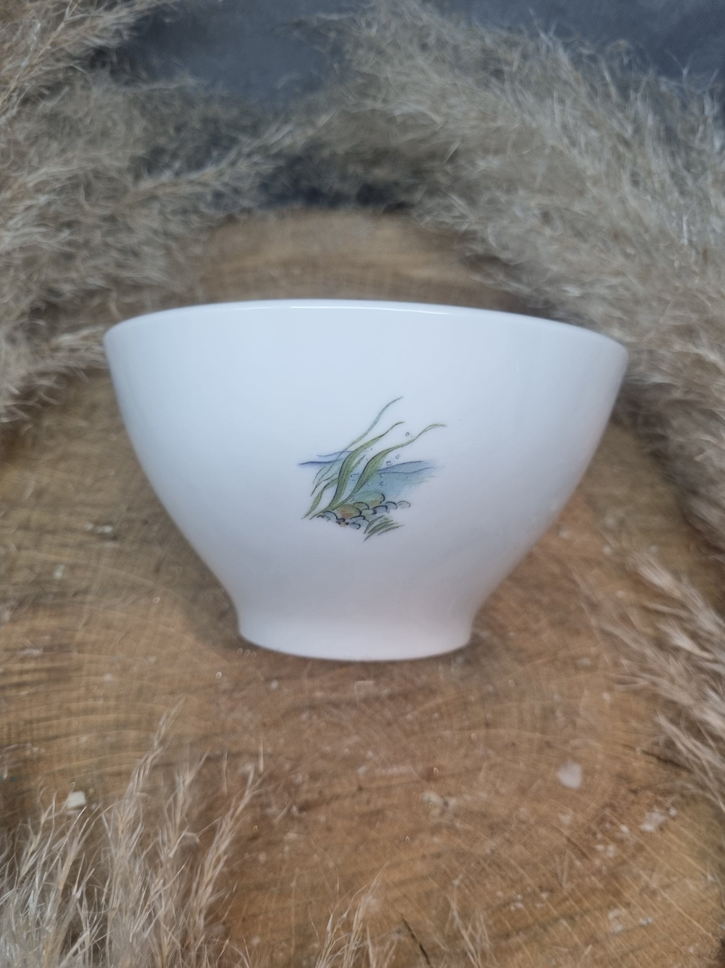 Bol en Porcelaine Décor CARPE, PECHE