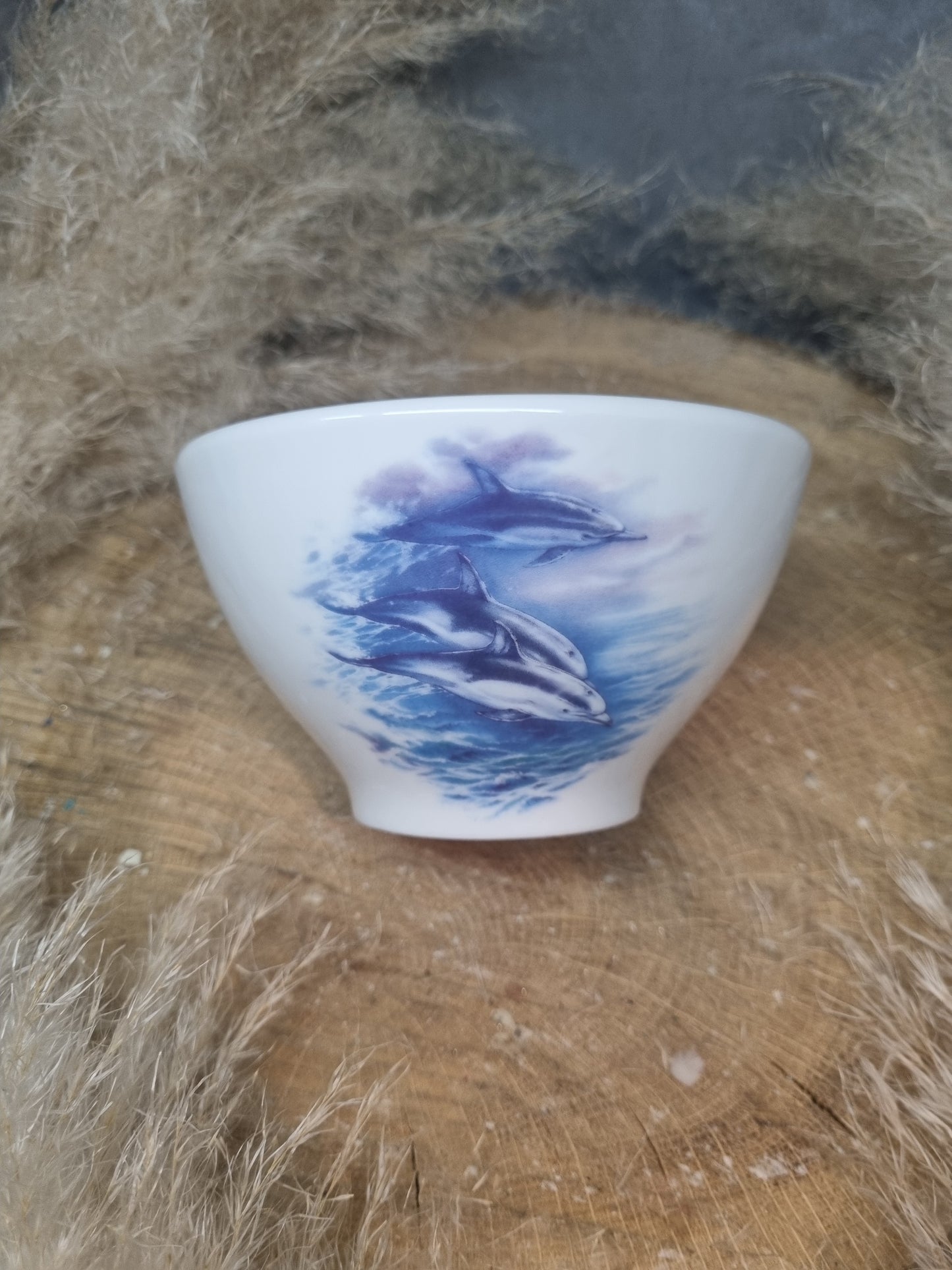 Bol en Porcelaine Décor DAUPHIN