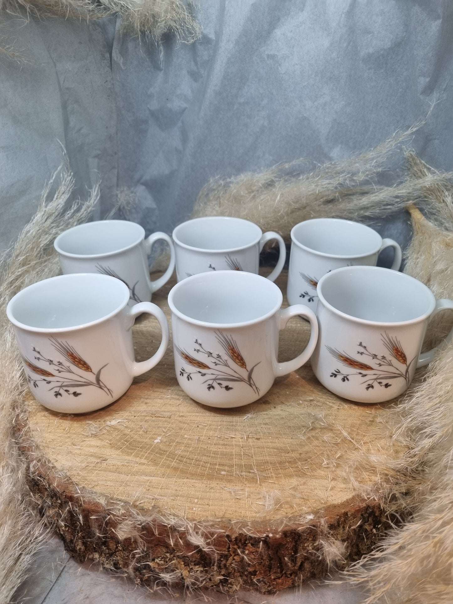 6 Tasses à café en Porcelaine Décor EPIS DE BLE