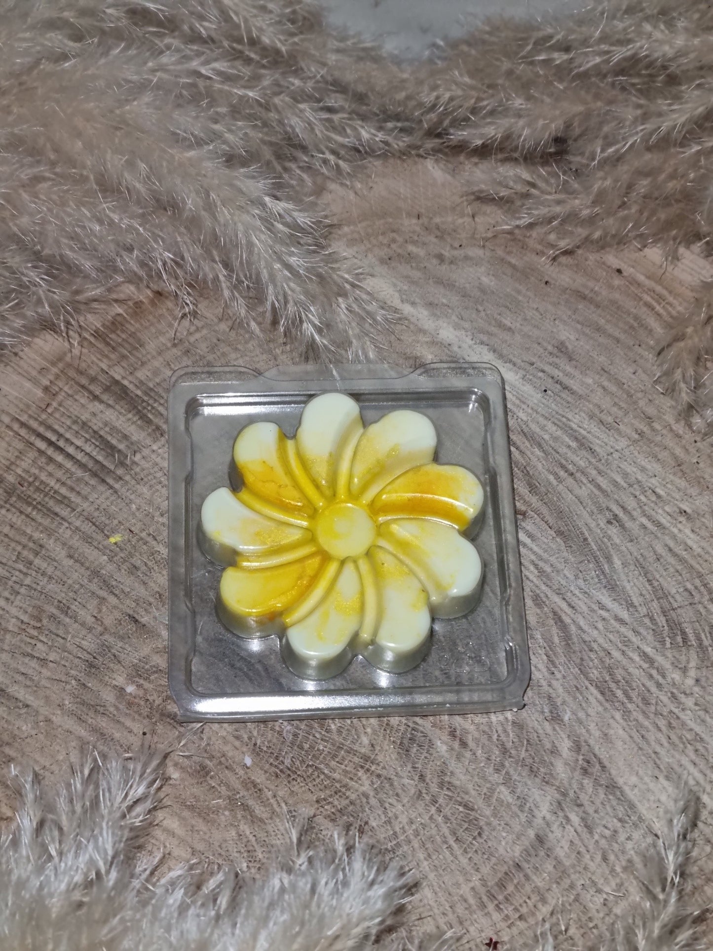 FONDANT CLAMSHELL MARGUERITE