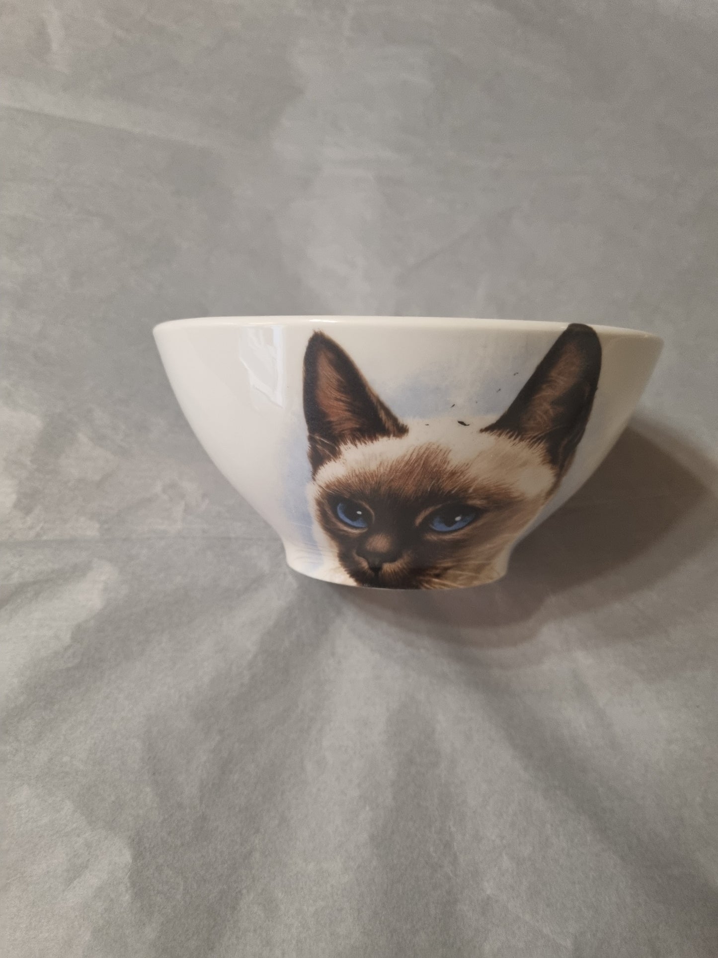 Bol en Porcelaine Décor Chat