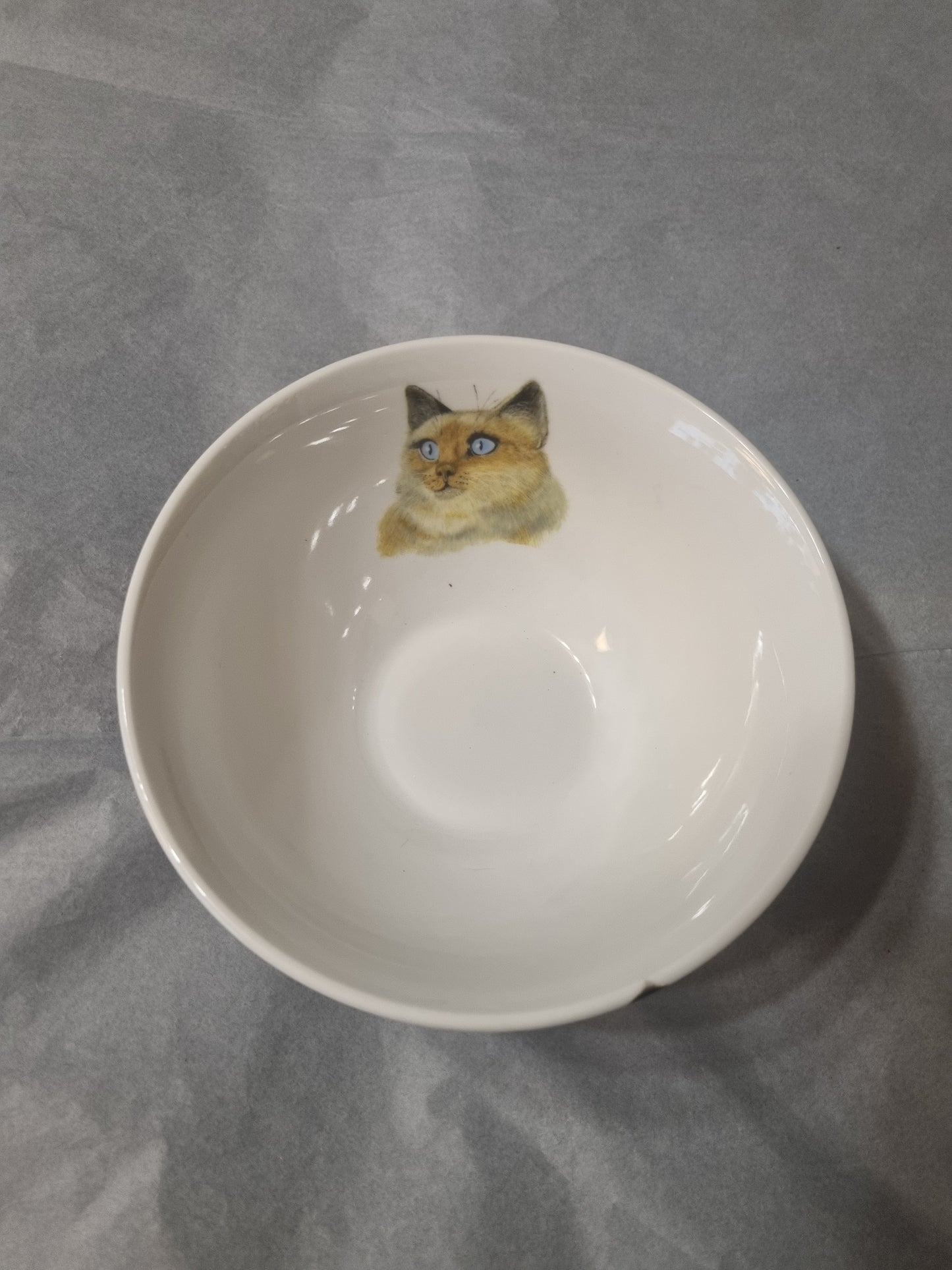 Bol en Porcelaine Décor Chat