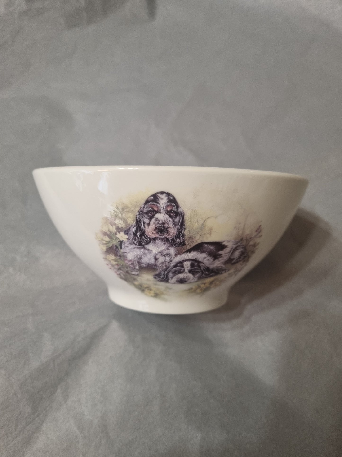 Bol en Porcelaine Décor Chien