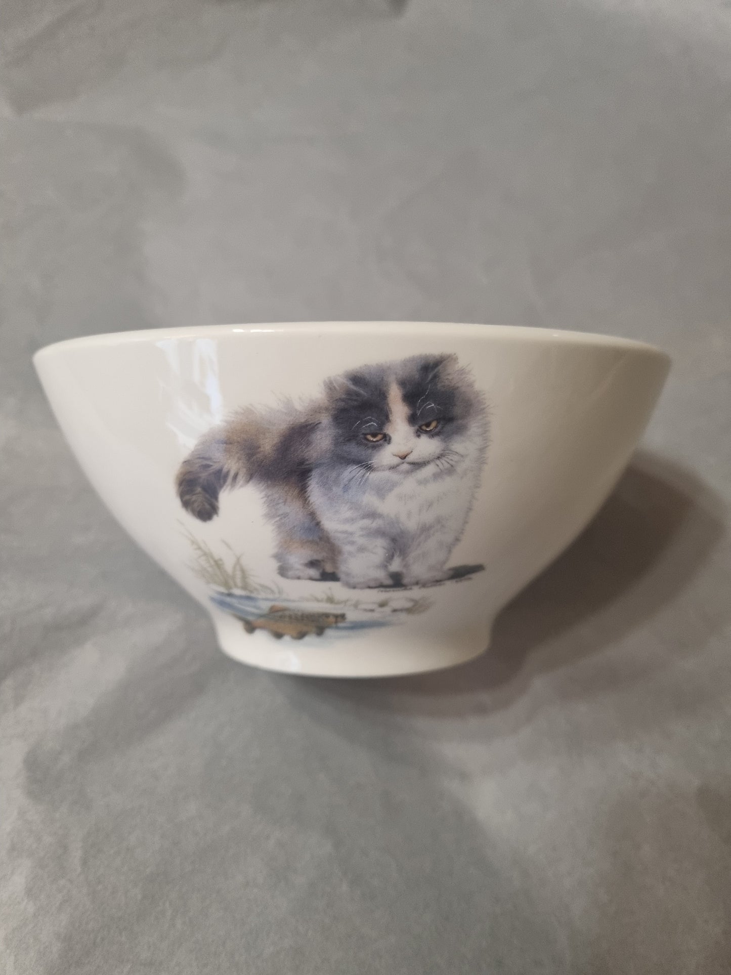 Bol en Porcelaine Décor Chat