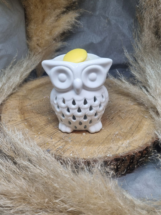 Brûle parfum en Céramique Hibou