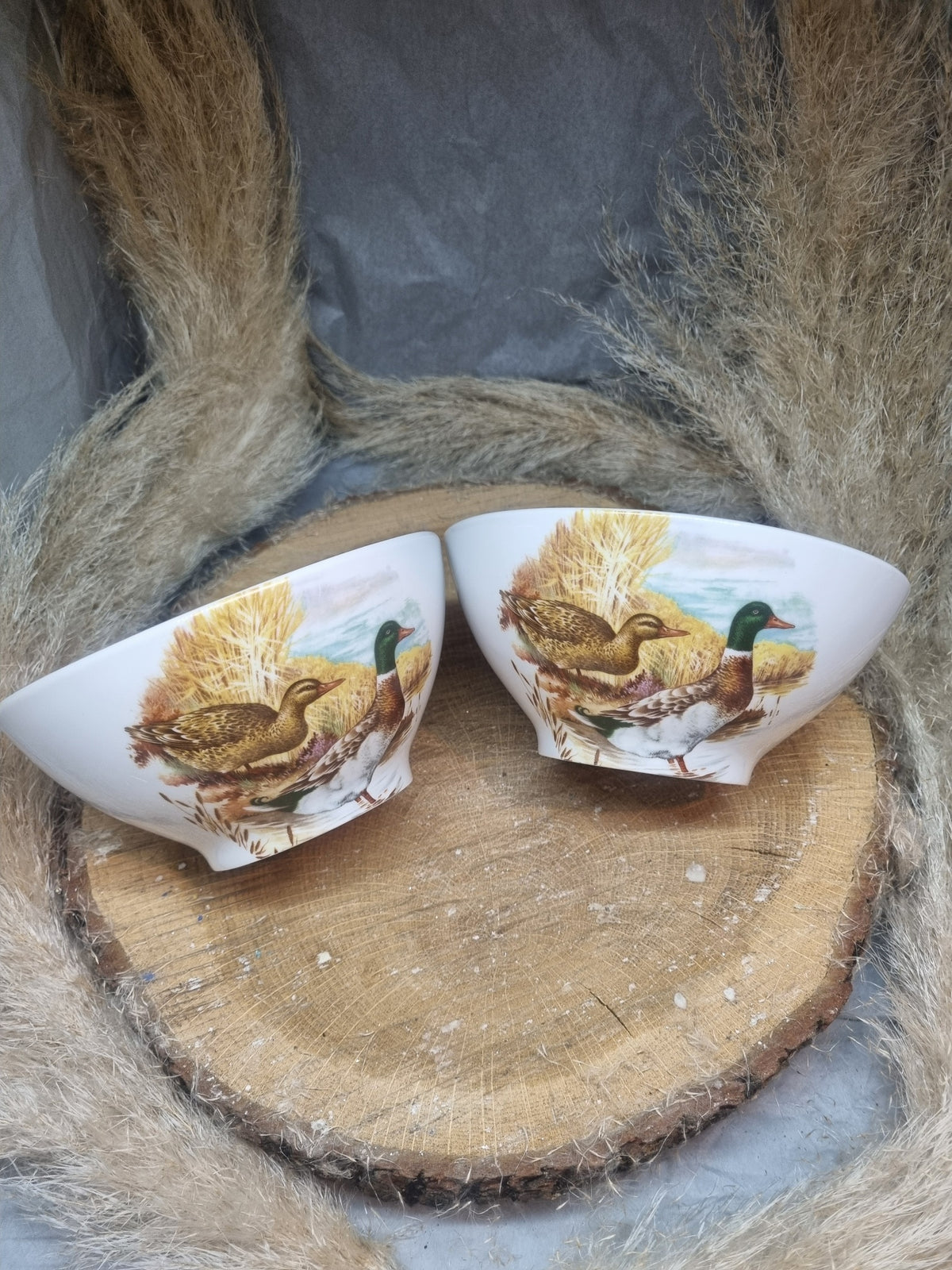 Coffret duo de 2 Bols en Porcelaine Canard