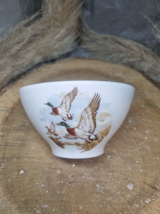 Bol en Porcelaine Décor canard