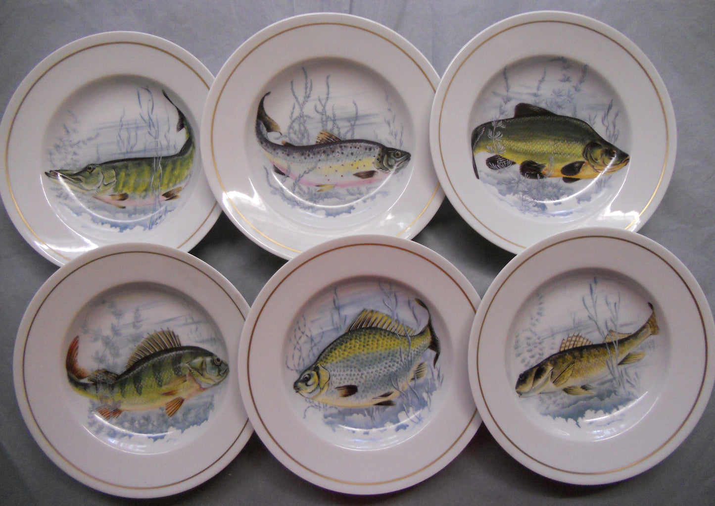 6 Assiettes Creuse Poisson d'eau douce